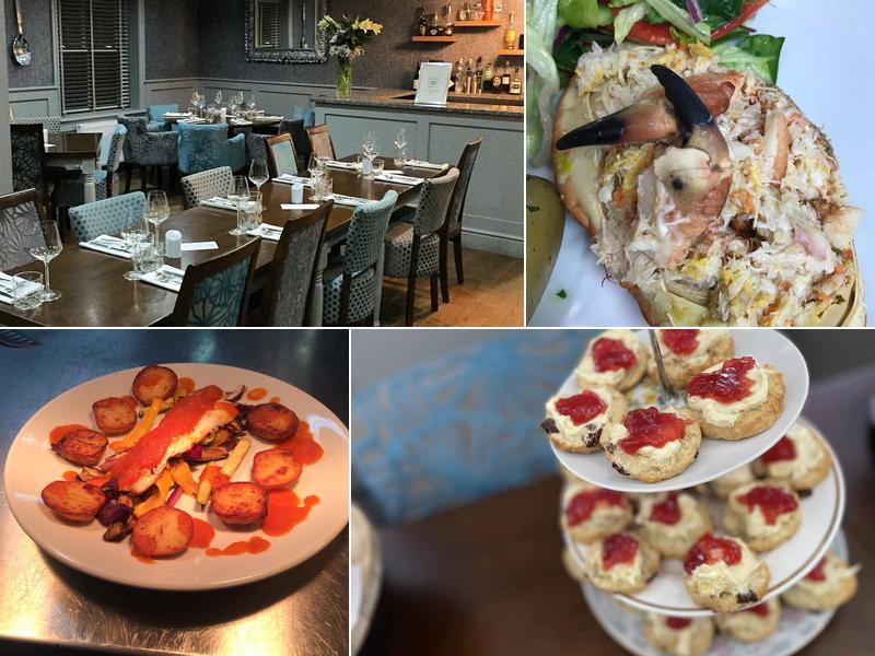 Greyhound & TwentyOne