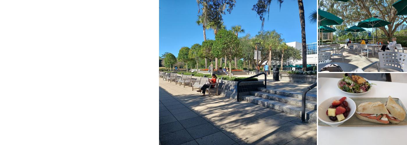 Mayo Clinic | Bundy Café & Atrium