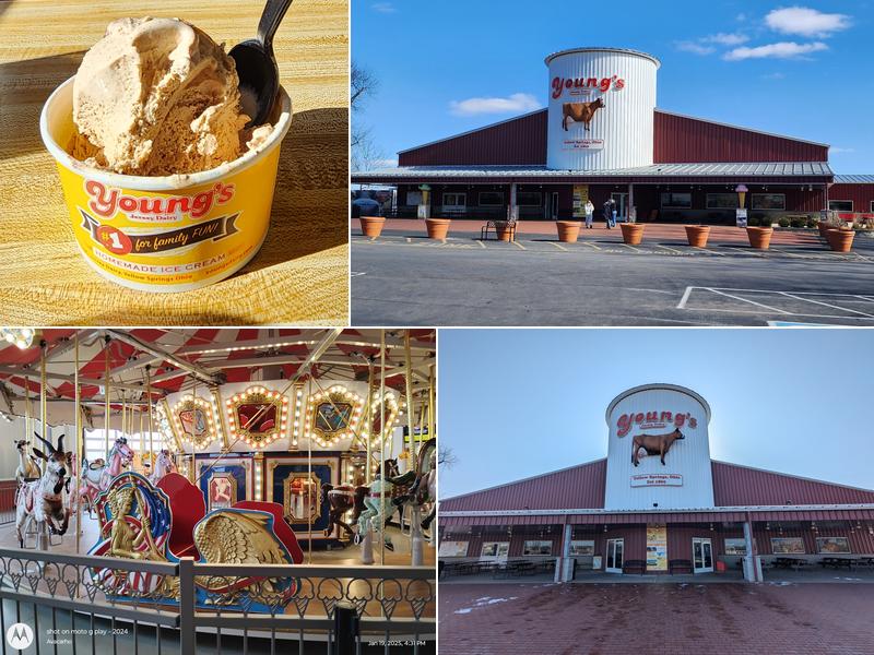 Young's Jersey Dairy