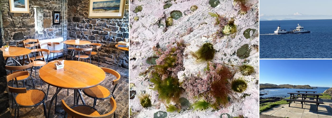 Ardnamurchan Lighthouse Cafe