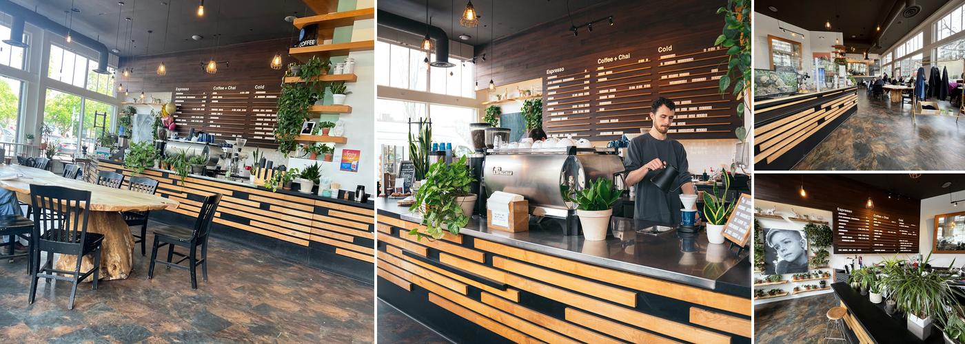 Zoka Coffee Roasters and Tea Company