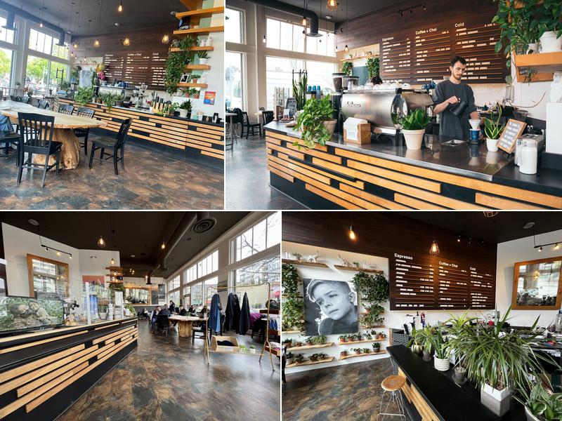 Zoka Coffee Roasters and Tea Company 129 Central Way, Kirkland