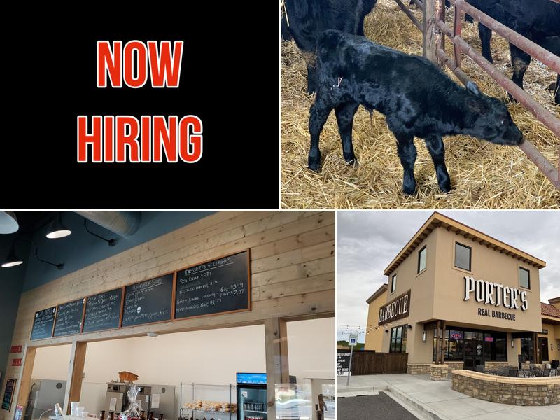 Porter's Real Barbecue