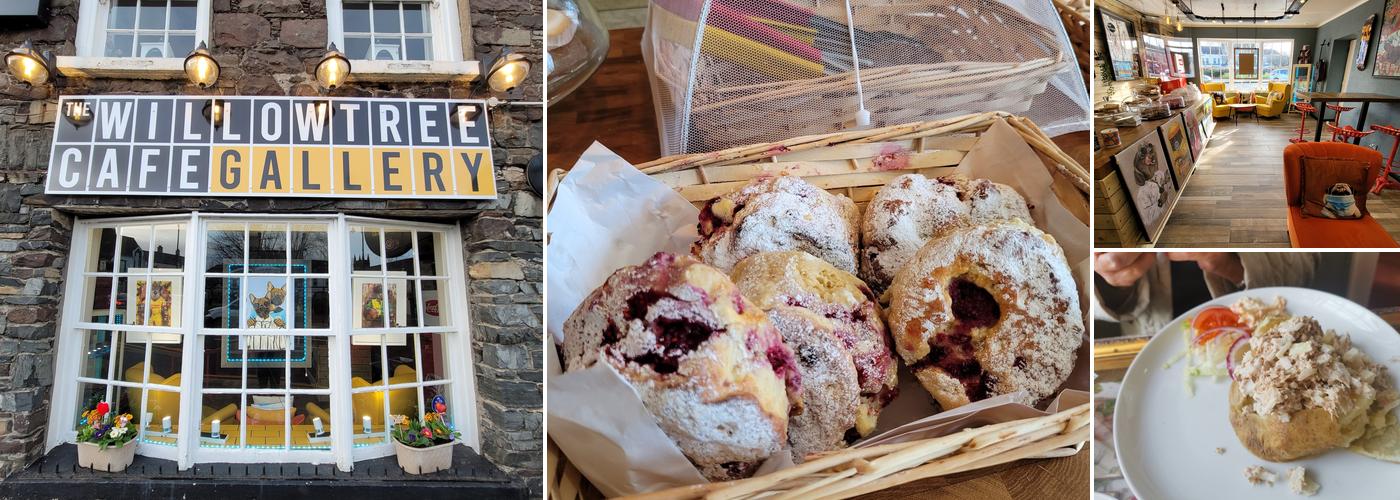 The willow tree cafe gallery