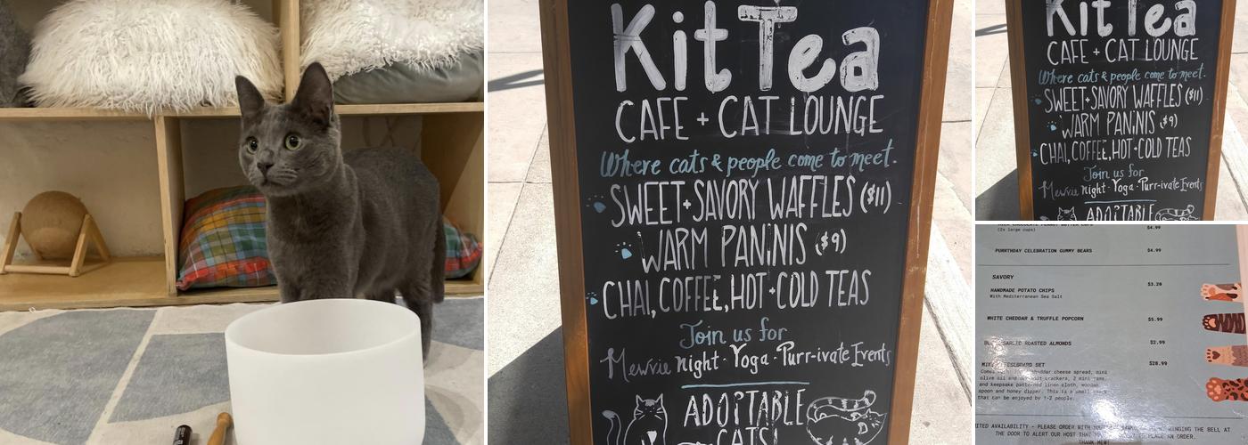 KitTea Cat Lounge Menu