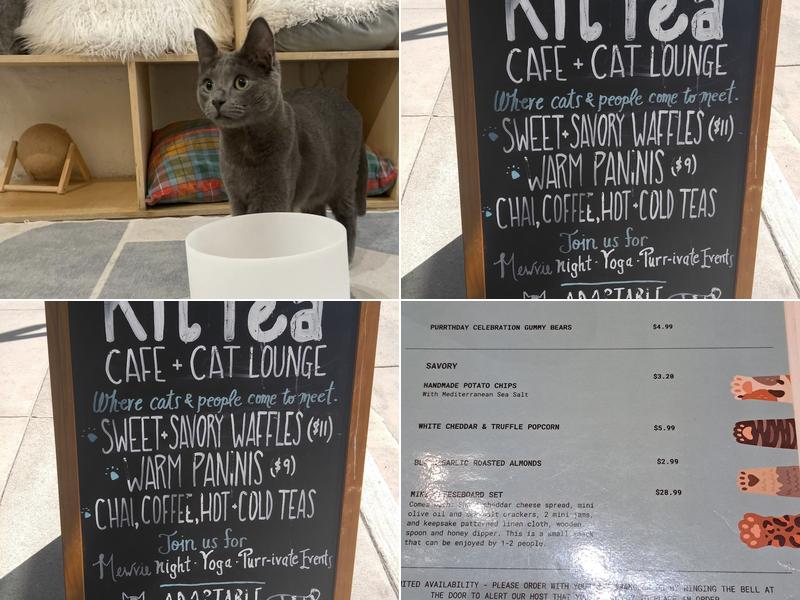 KitTea Cat Lounge Menu