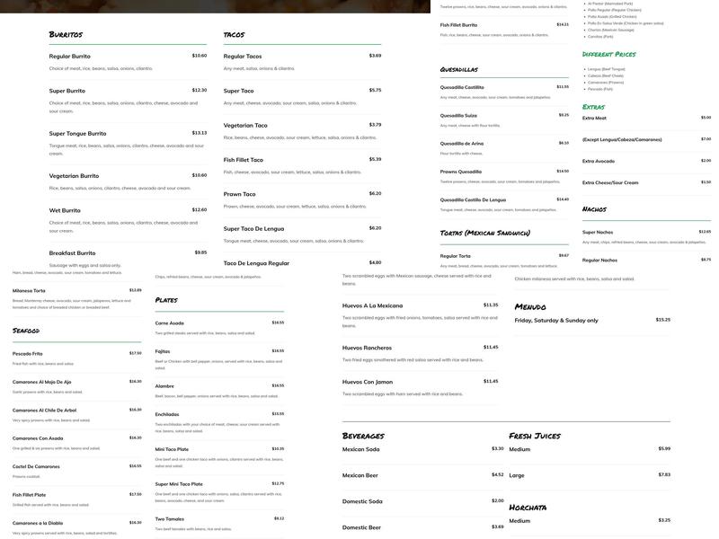 Taqueria Castillo Menu