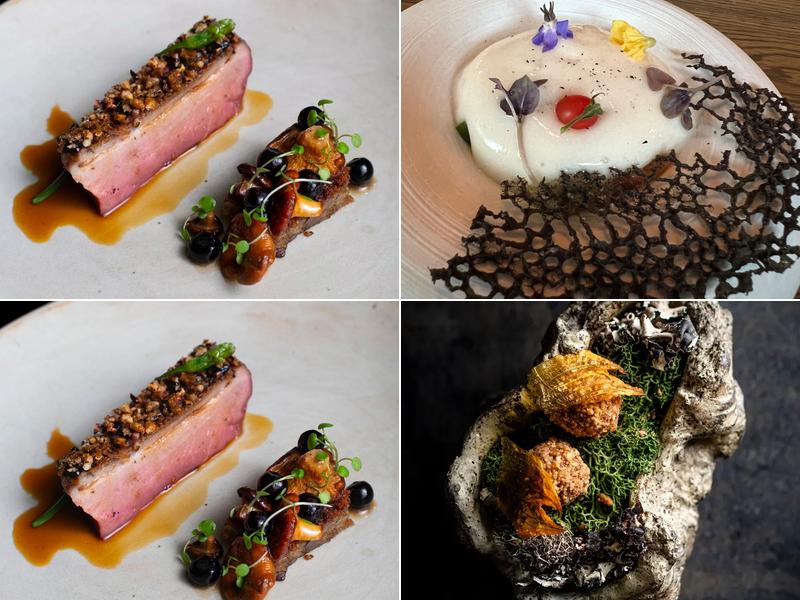 Nightbird 330 Gough St, San Francisco