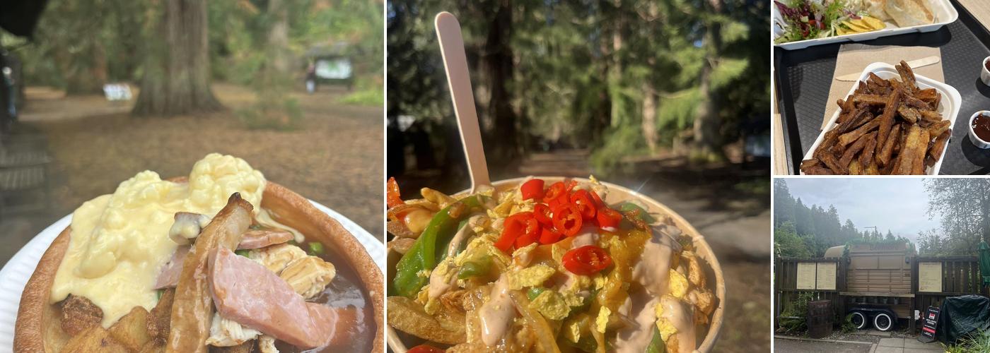 Redwood Coffee at Benmore Botanic Garden