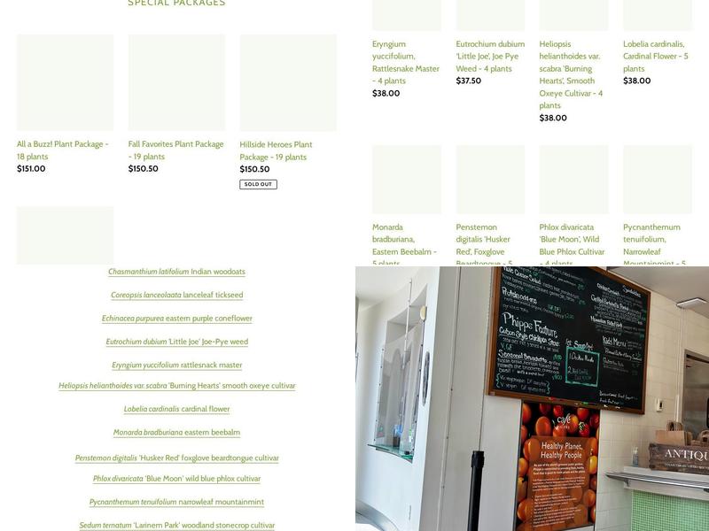 Café Phipps Menu