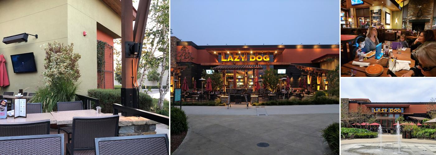 Lazy Dog Restaurant & Bar
