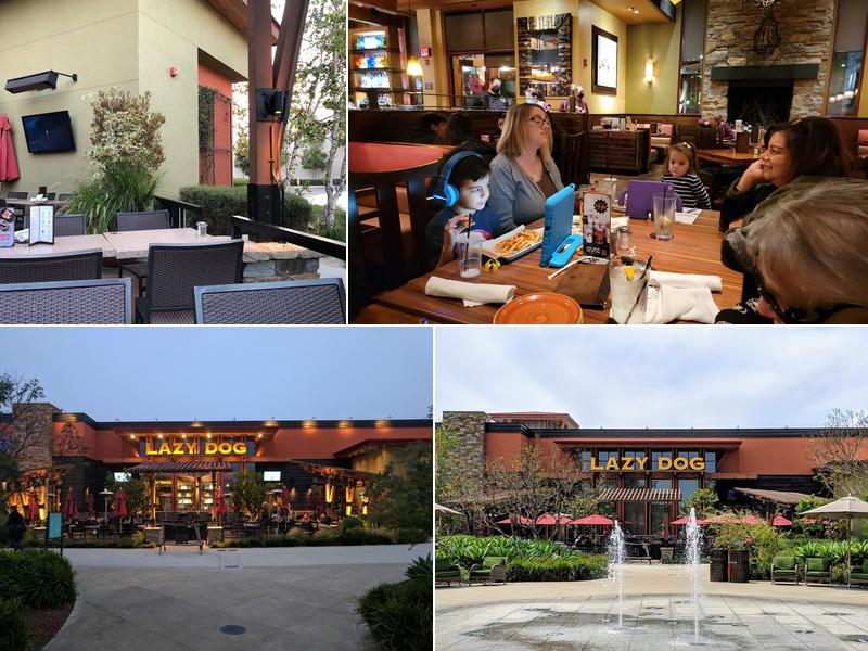 Lazy Dog Restaurant & Bar