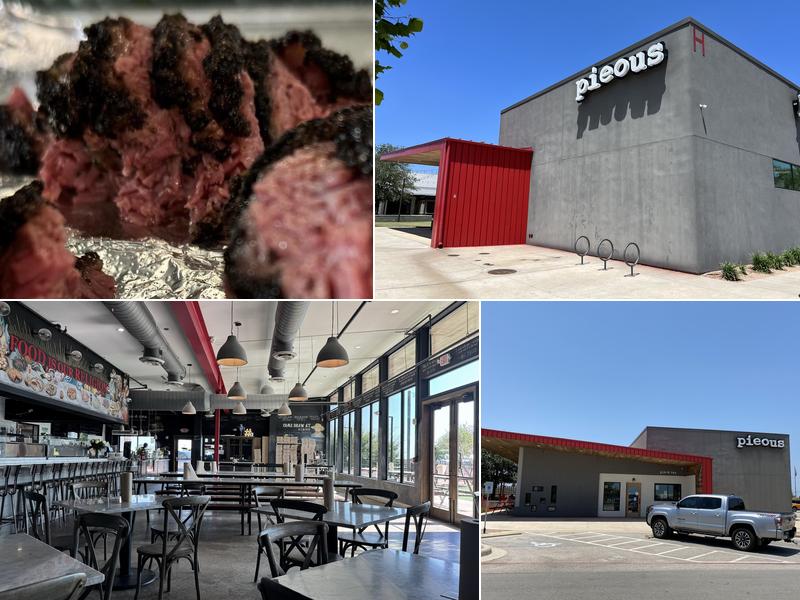 Pieous 166 Hargraves Dr h, Austin