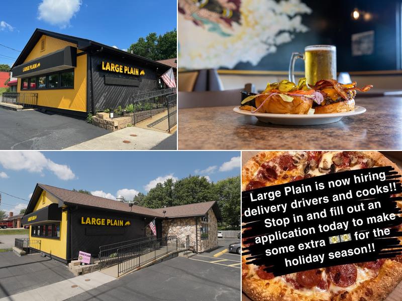 Large Plain Pizza and Pints