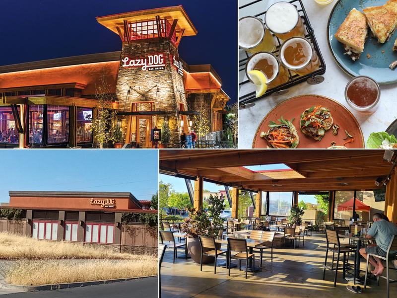 Lazy Dog Restaurant & Bar 238 Gibson Drive Pad 6, Roseville