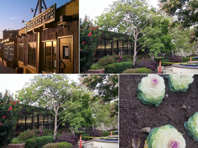 Crossroads Cafe Duarte