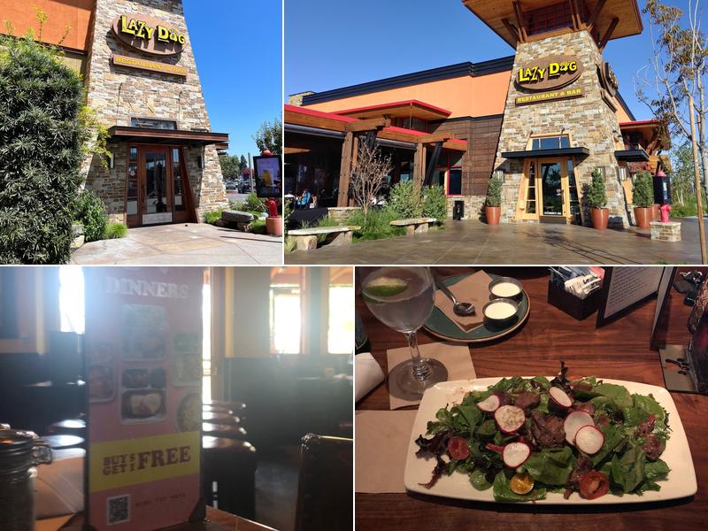 Lazy Dog Restaurant & Bar