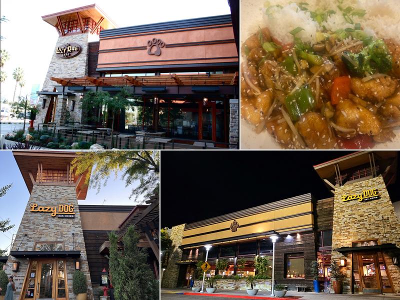 Lazy Dog Restaurant & Bar