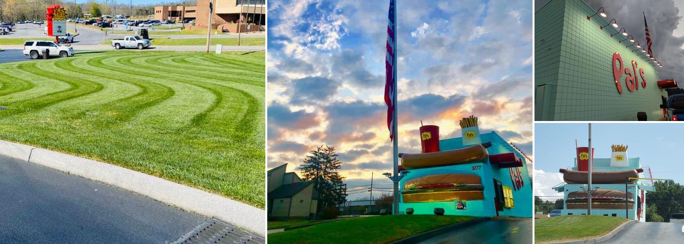 Pal's Sudden Service