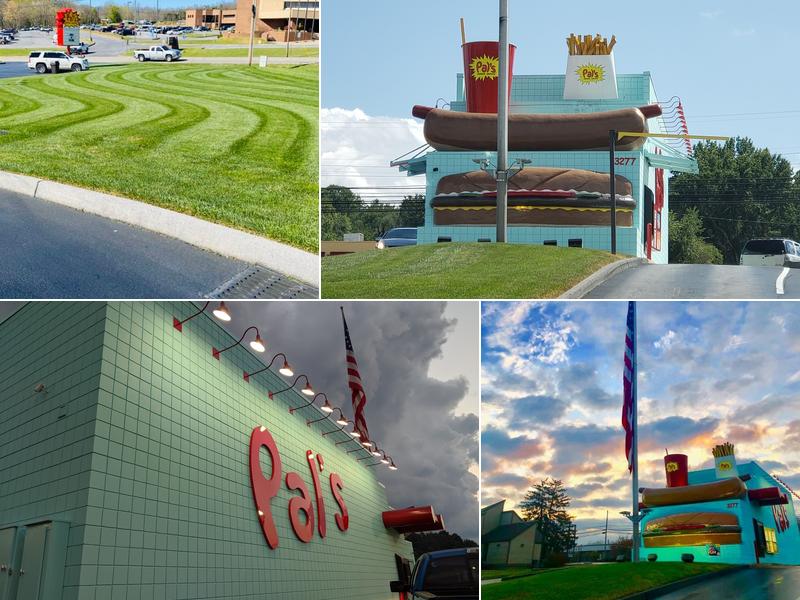 Pal's Sudden Service