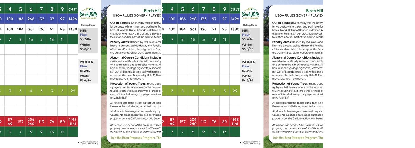 Treehouse Bar and Grill at Birch Hills Golf Course Menu