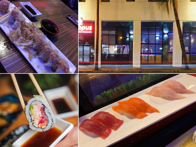 Octopus Japanese Restaurant 227 E Palm Ave, Burbank