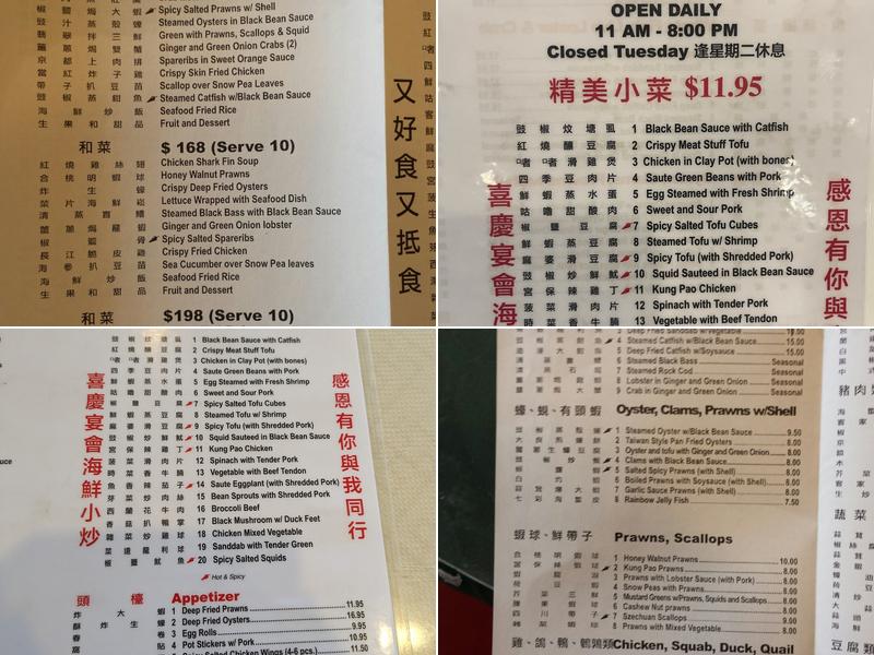 Szechuan Taste Restaurant 长江 Menu