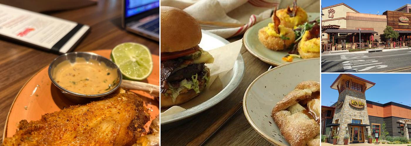 Lazy Dog Restaurant & Bar