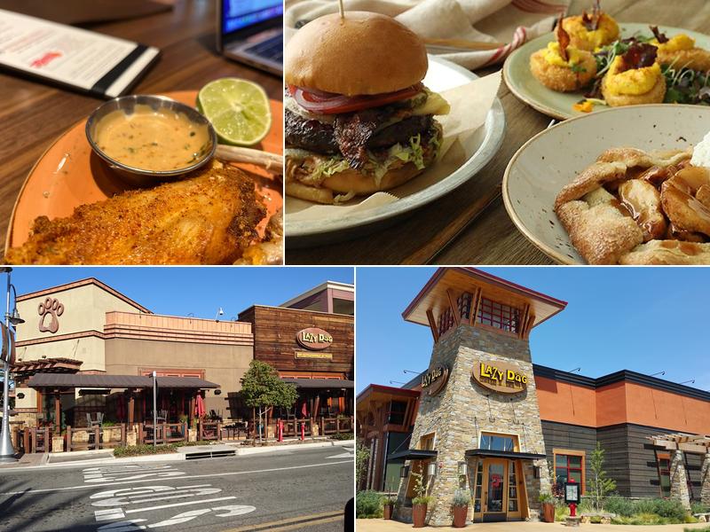 Lazy Dog Restaurant & Bar