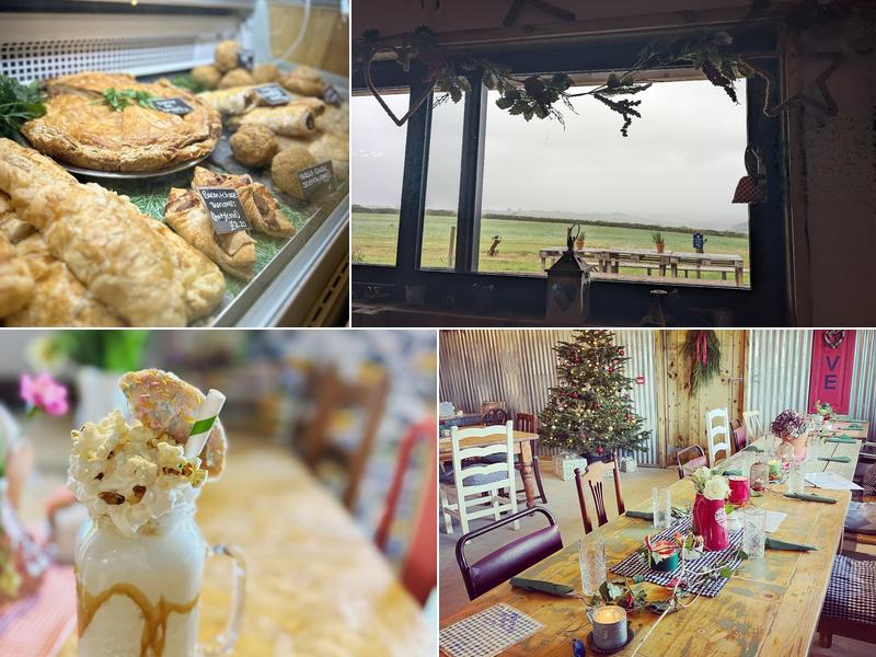 The Ring Feeder Cafe