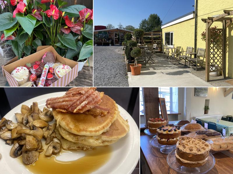 Blossoms Cafė Llangadog