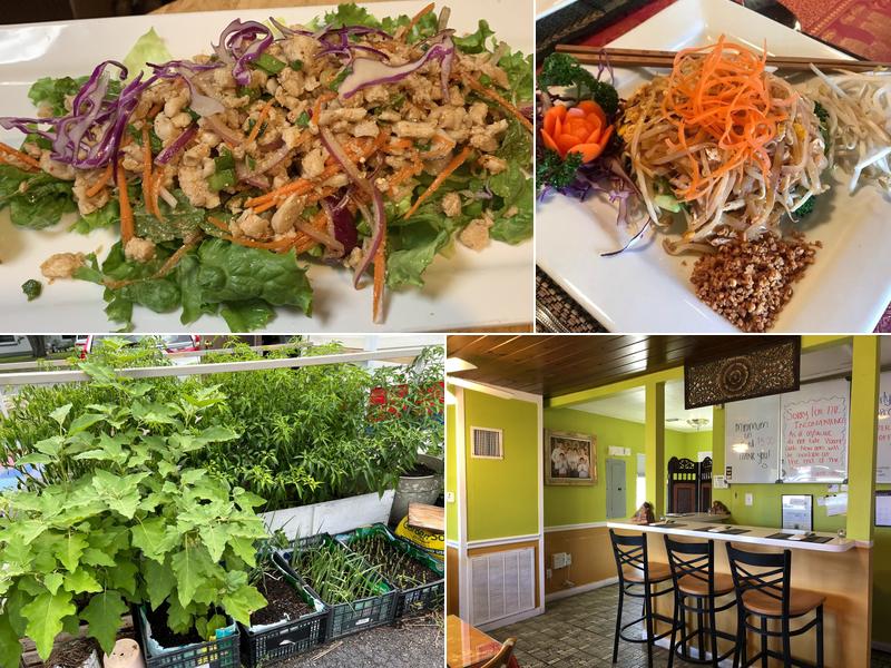 Little Ninja Thai Japanese Food And Cafe