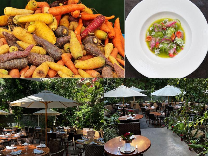 Michael's 1147 3rd St, Santa Monica