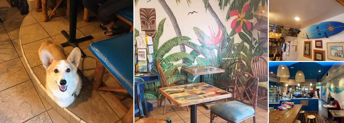 Surfdog's Java Hut