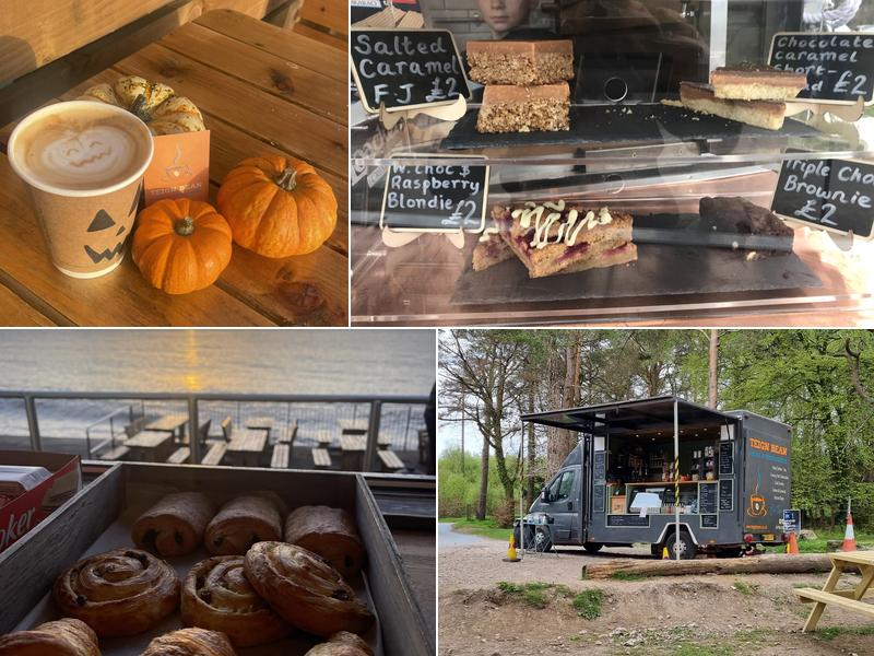 Teign Bean @ Mamhead