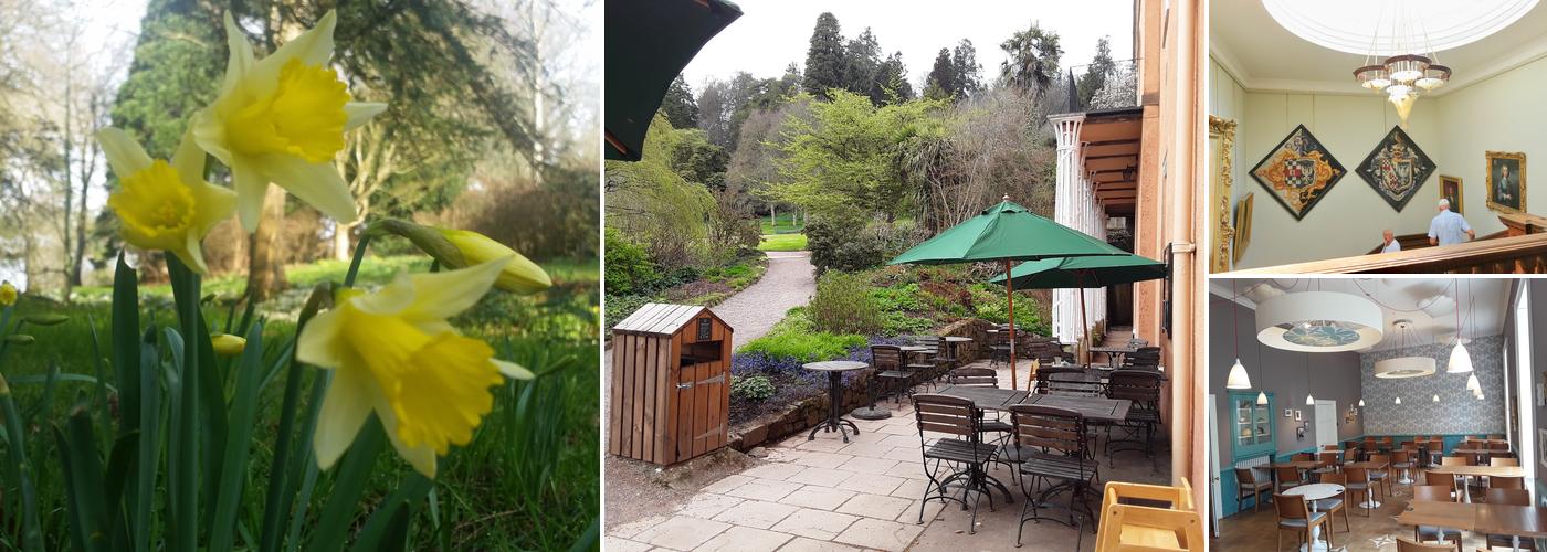 Killerton House Dairy Café