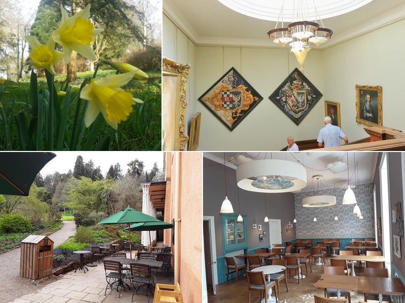 Killerton House Dairy Café