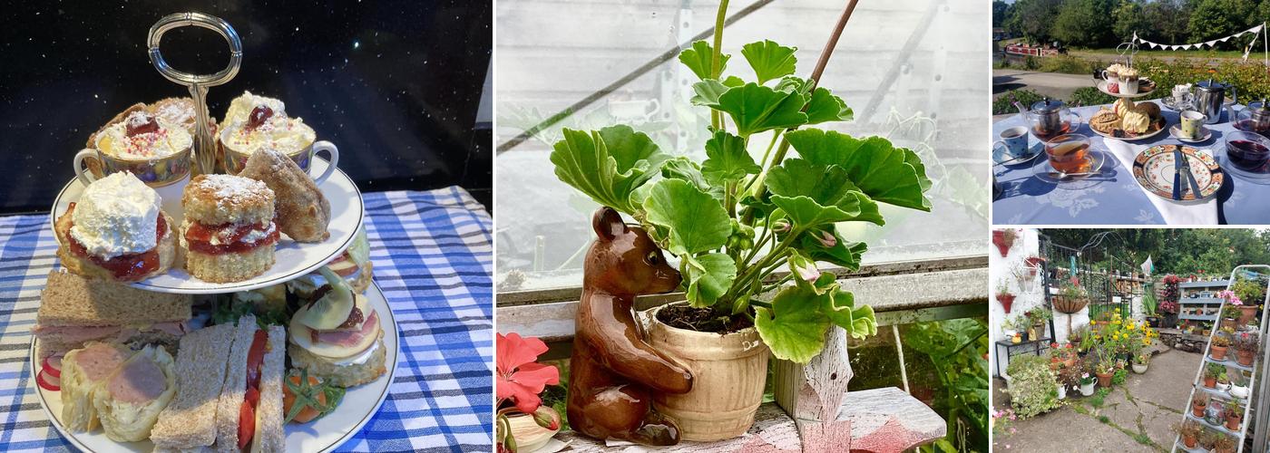 Sian's cafe in the garden