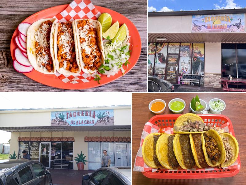 El Alacrán Taquería