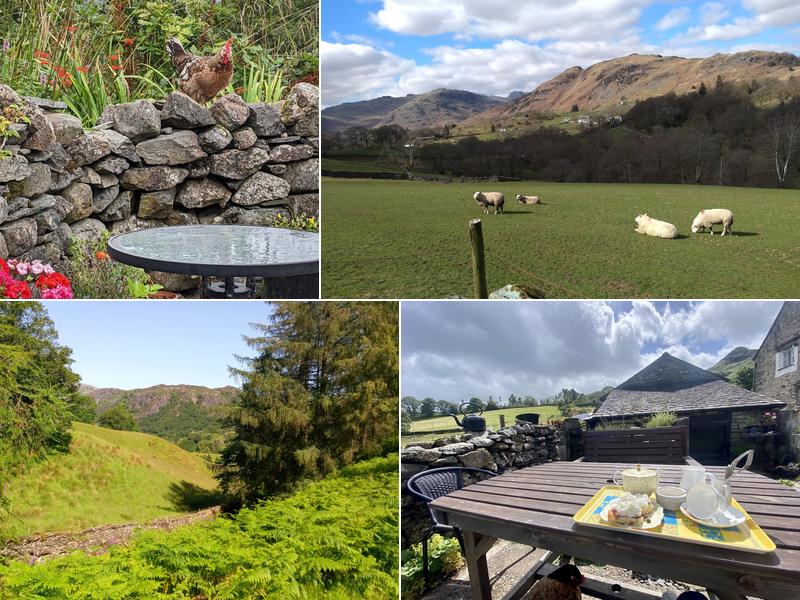 High Park tea garden