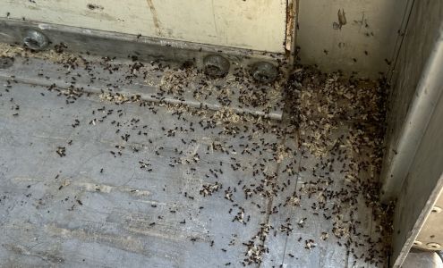 U-Haul Neighborhood Dealer