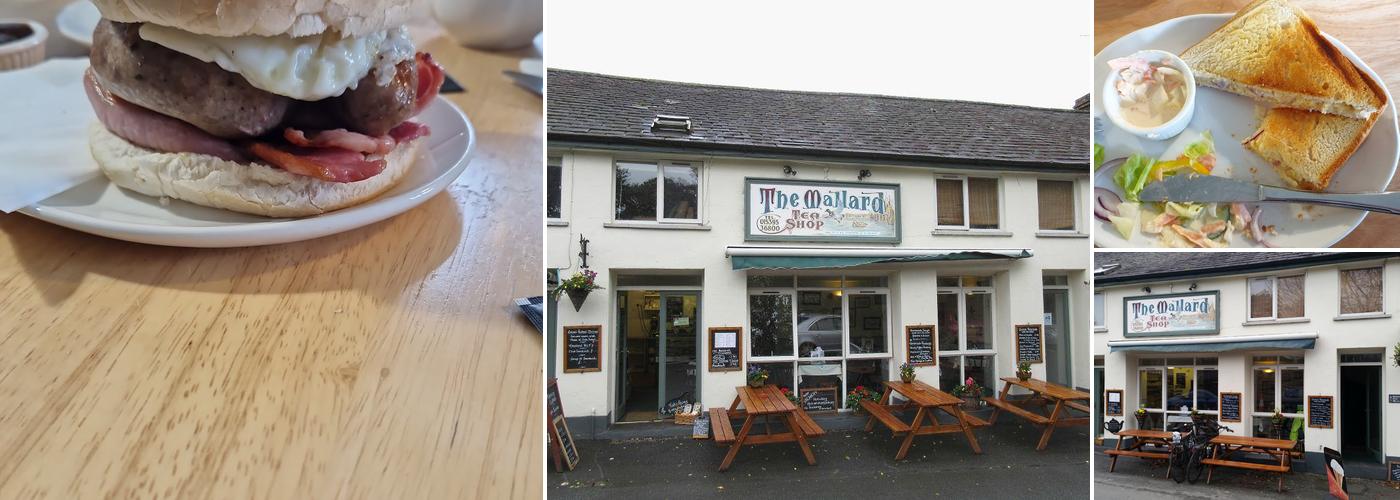 The Mallard Tea Shop