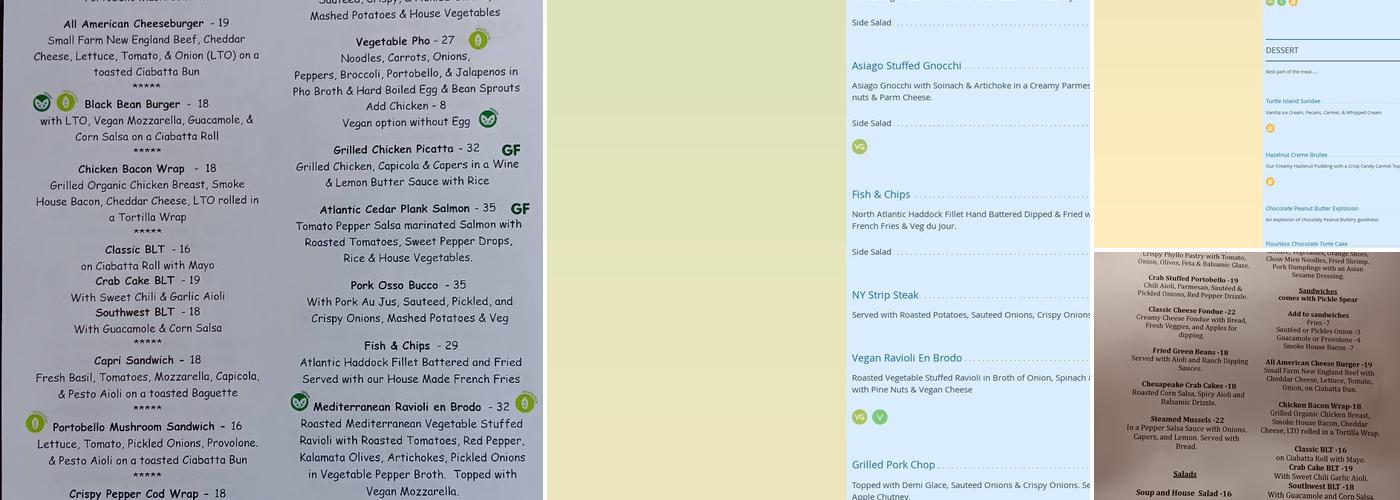 Turtle Island Cafe Menu