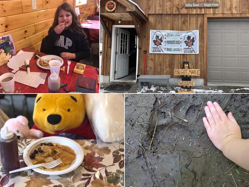 Valley Road Maple Farm