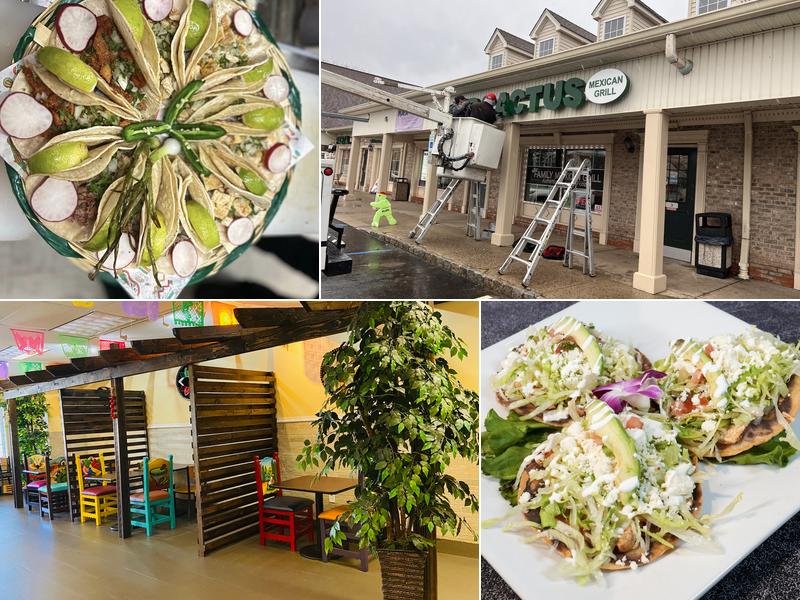 Mr Cactus Mexican Grill