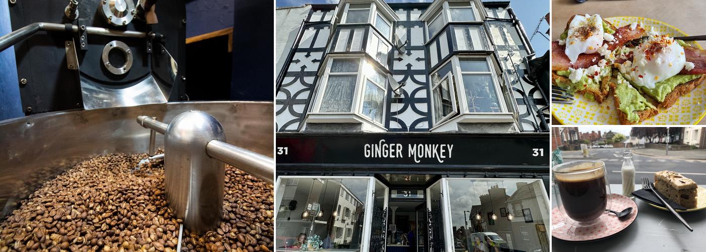 Ginger Monkey Number 31