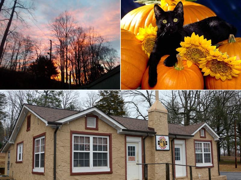 Chicken in the Basket