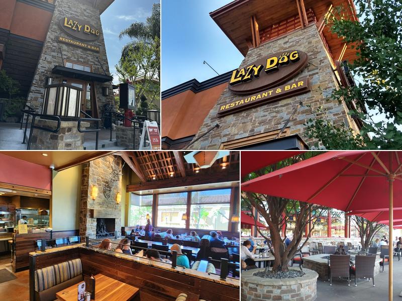 Lazy Dog Restaurant & Bar