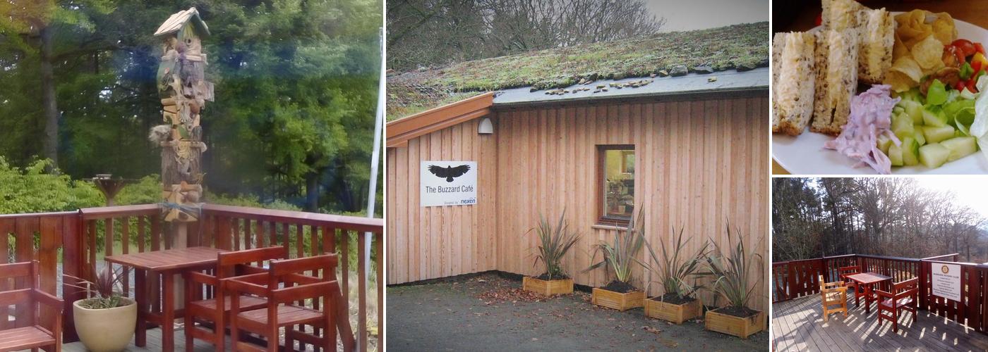 The Buzzard Café