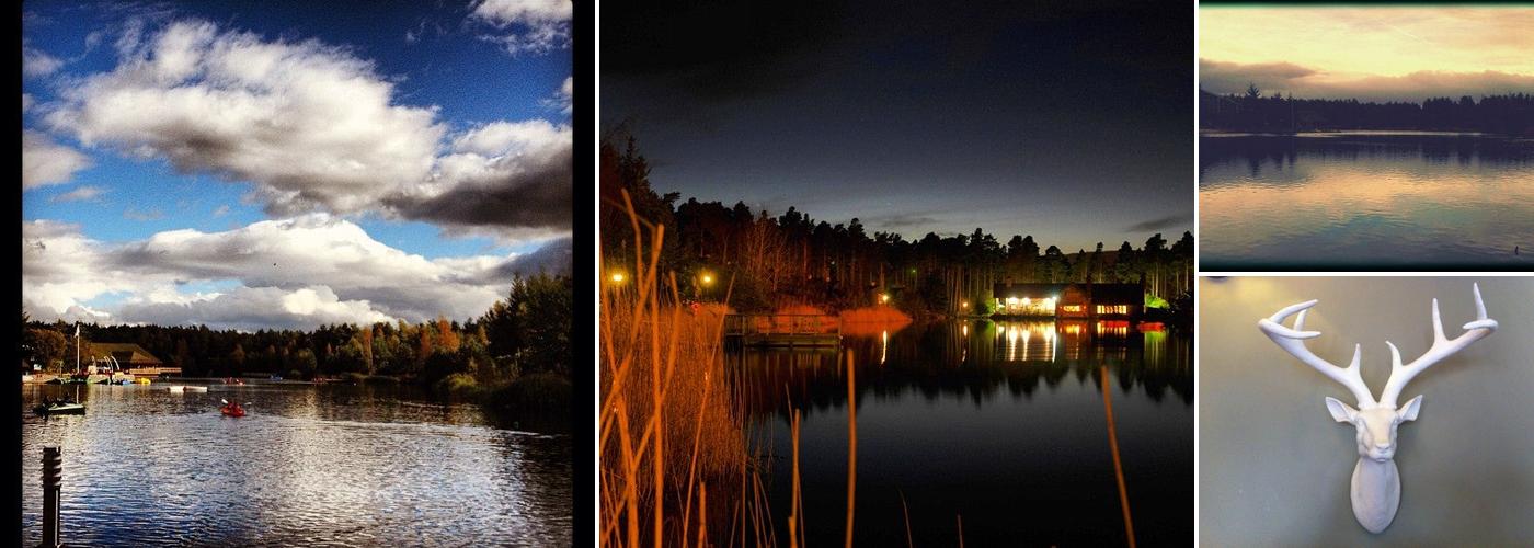 Canopy Café and Bar